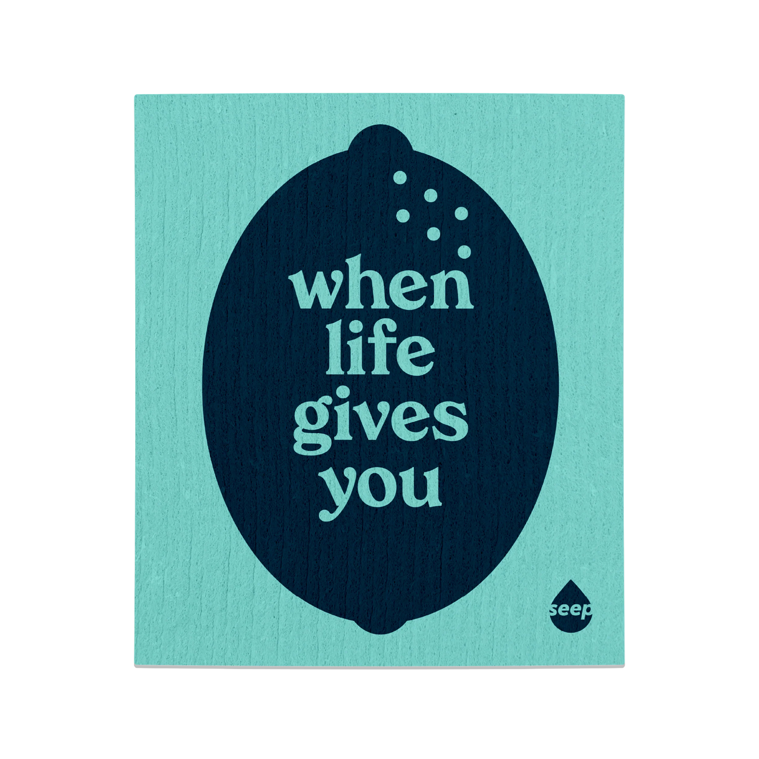 Free Gift: Eco Sponge Cloth